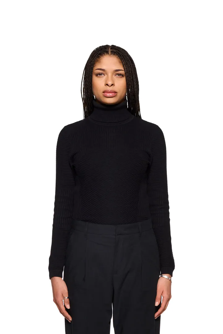 Anatomy Turtleneck Black