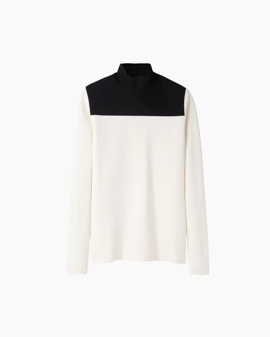 Colorblocked Turtleneck
